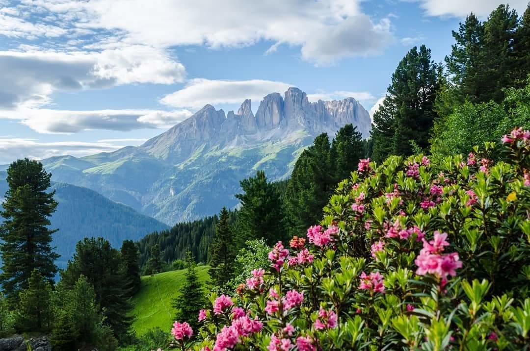 Hotel Majon De La Nona Pozza di Fassa Exterior foto